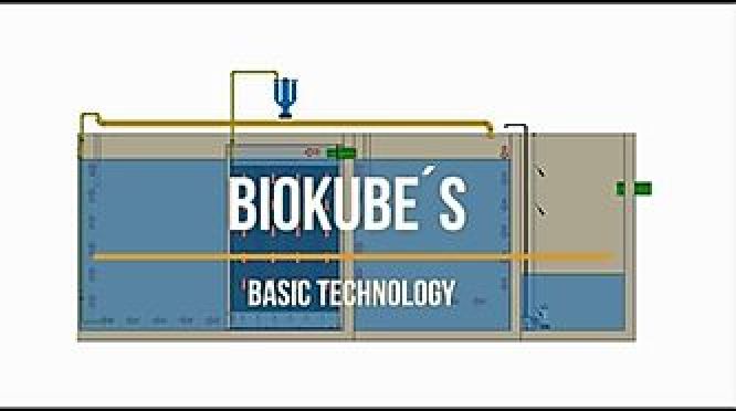 BioKube